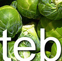 tebiki-blog