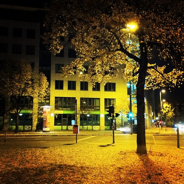 Autumn nighttime, Berlin Germany