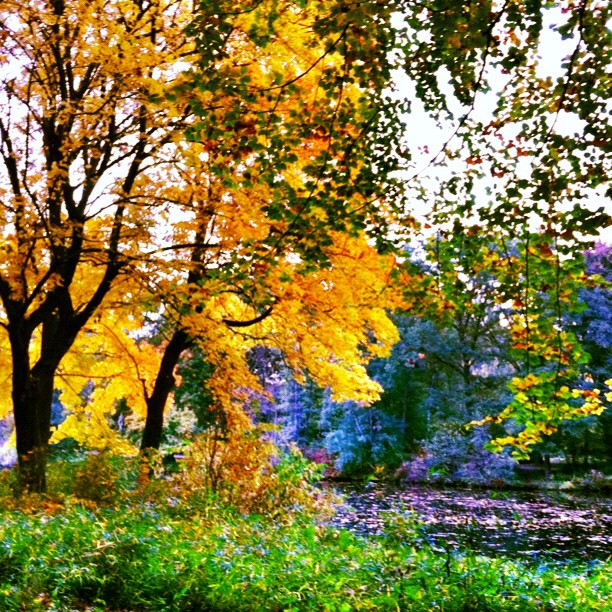 Tiergarten Park, Autumn in Berlin