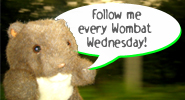 Wombat Wednesday