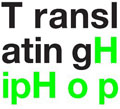 Translating Hip Hop logo (Berlin) 2011