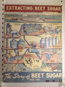 Extracting beet sugar poster
