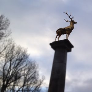 Golden Deer idol in Berlin