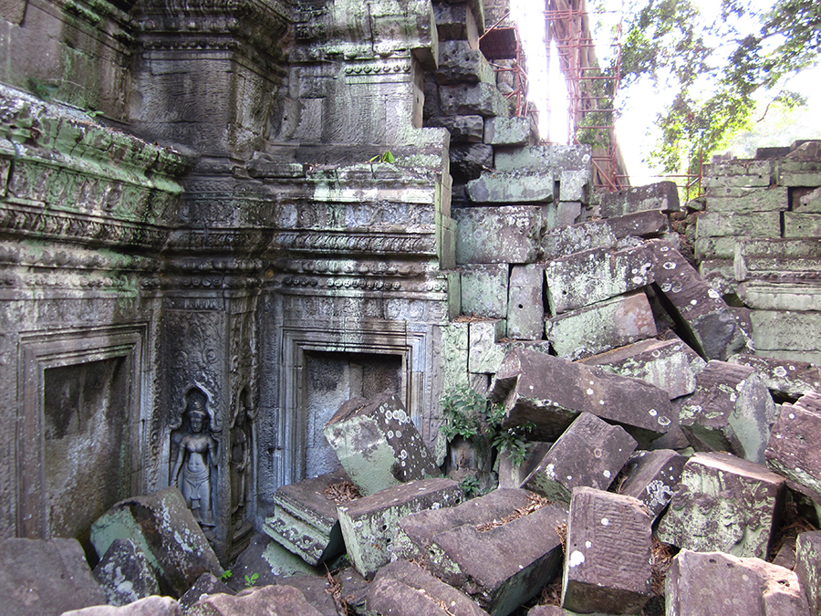 Ta Prohm temple, Angkor, Cambodia 10