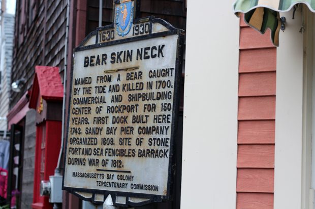 Bear Skin Neck