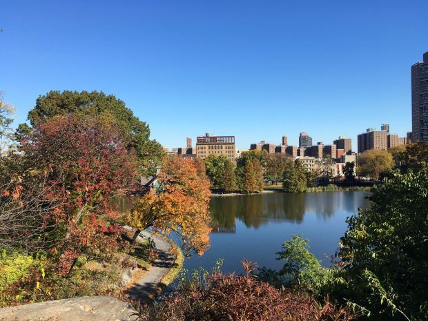 Autumn in Central Park, NYC (PHOTOS) - https://travelsofadam.com/2016/11/autumn-central-park/