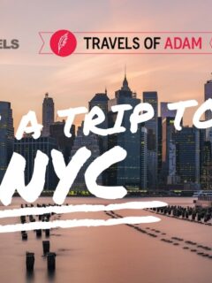 Win a Trip to NYC!