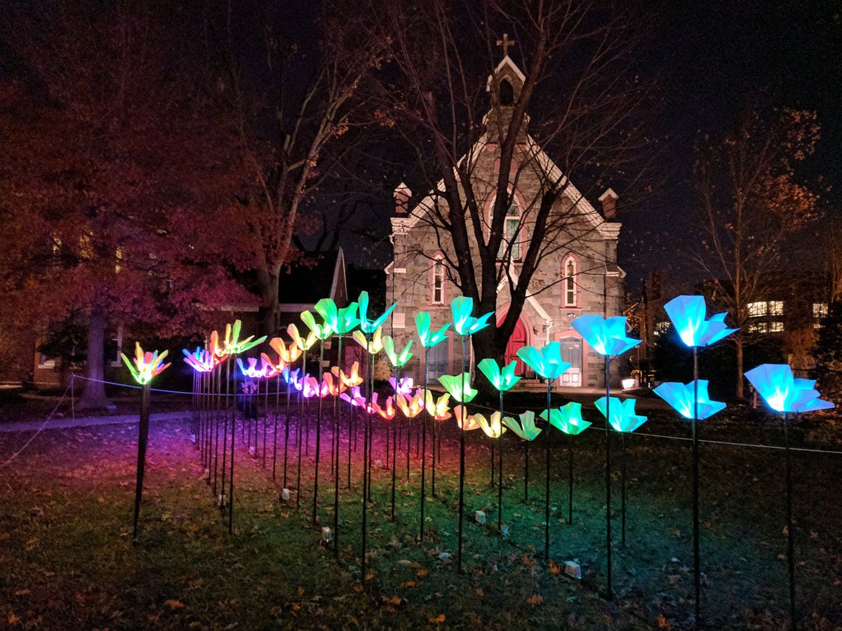 Bright Winter Lights at the GLOW (Washington, D.C.)