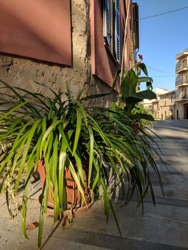 alcudia mallorca
