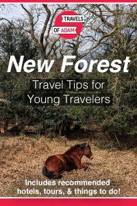 New Forest Travel Guide