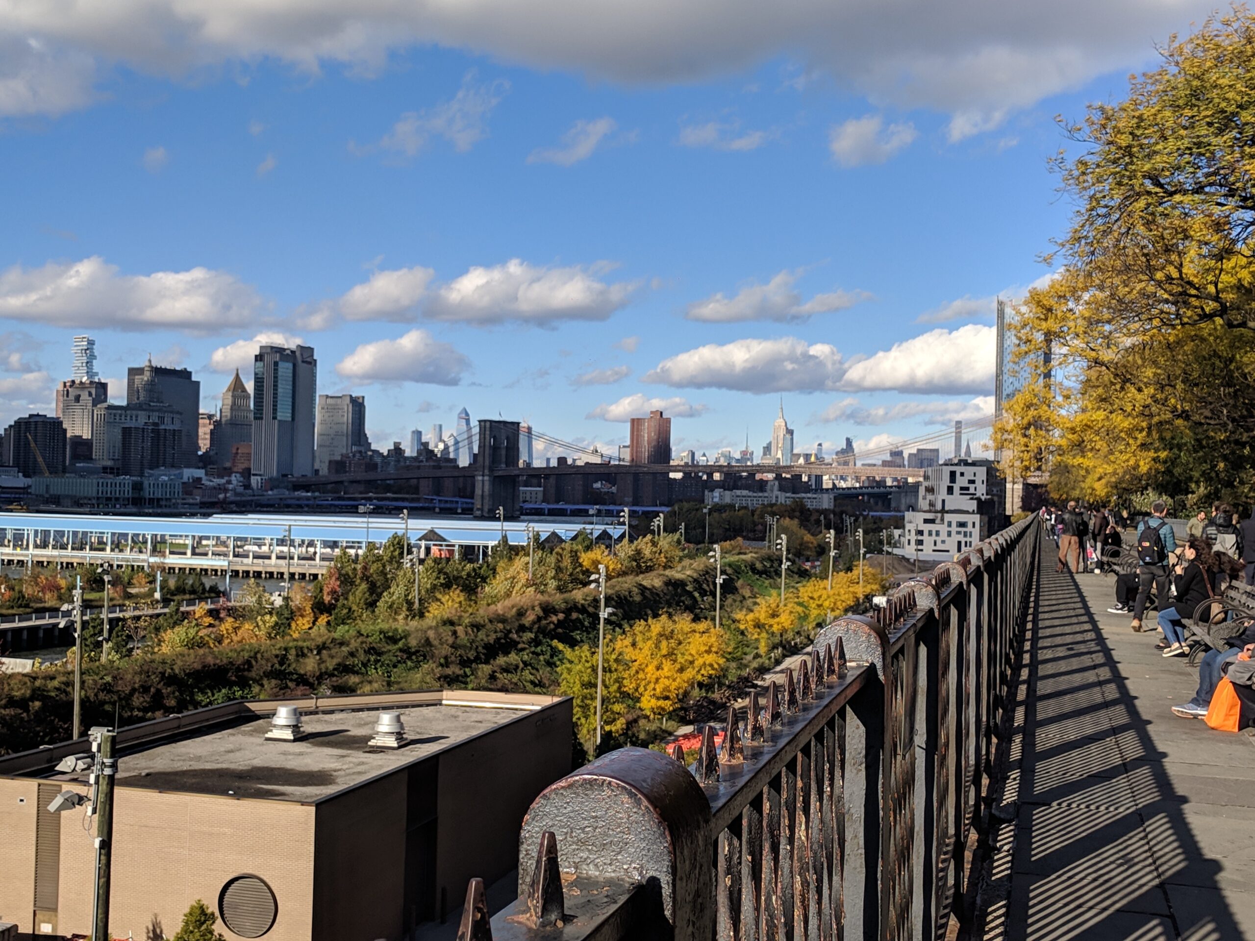 View of NYC in Autumn from Brooklyn Promenade