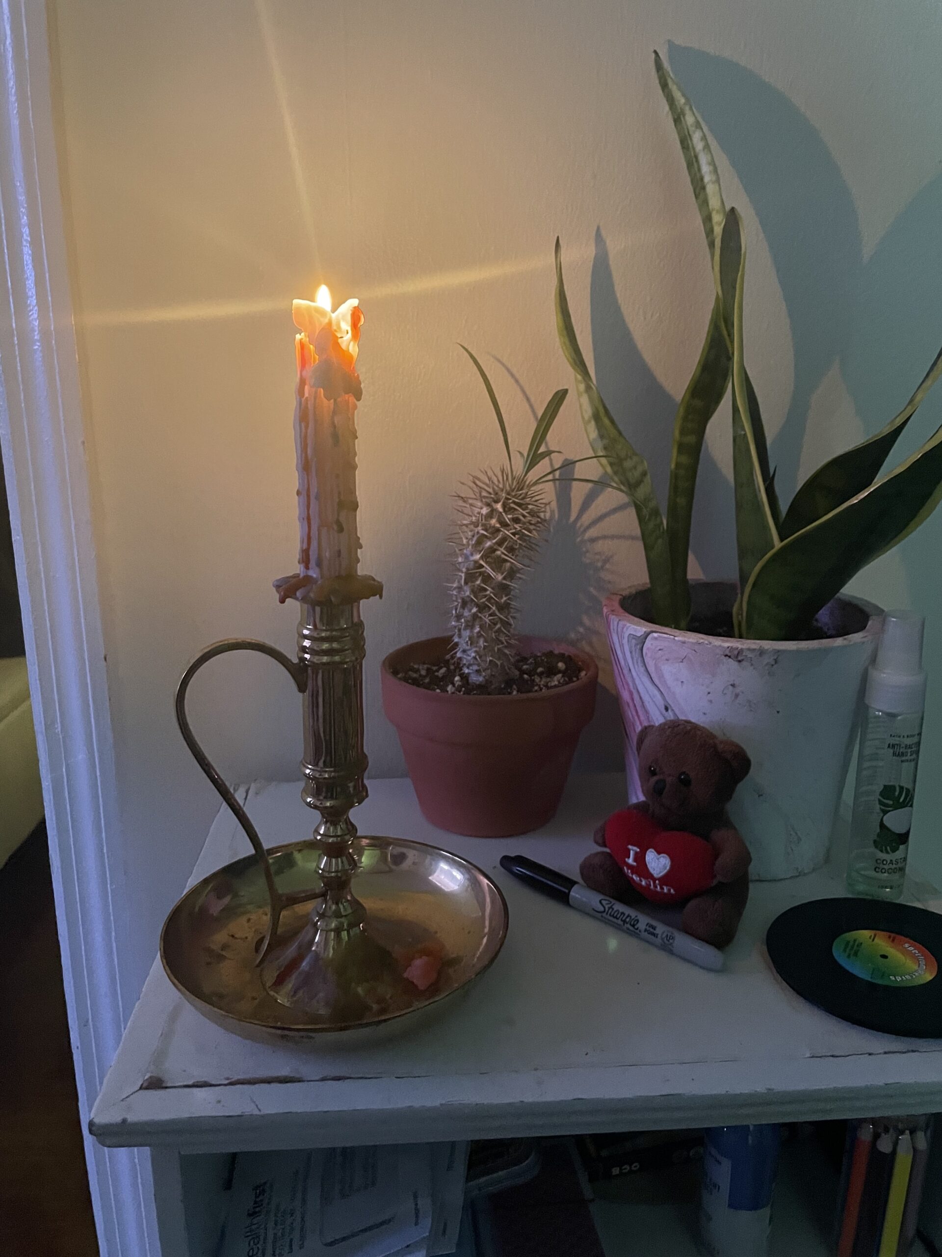 candle in candlestick holder next to plants in home