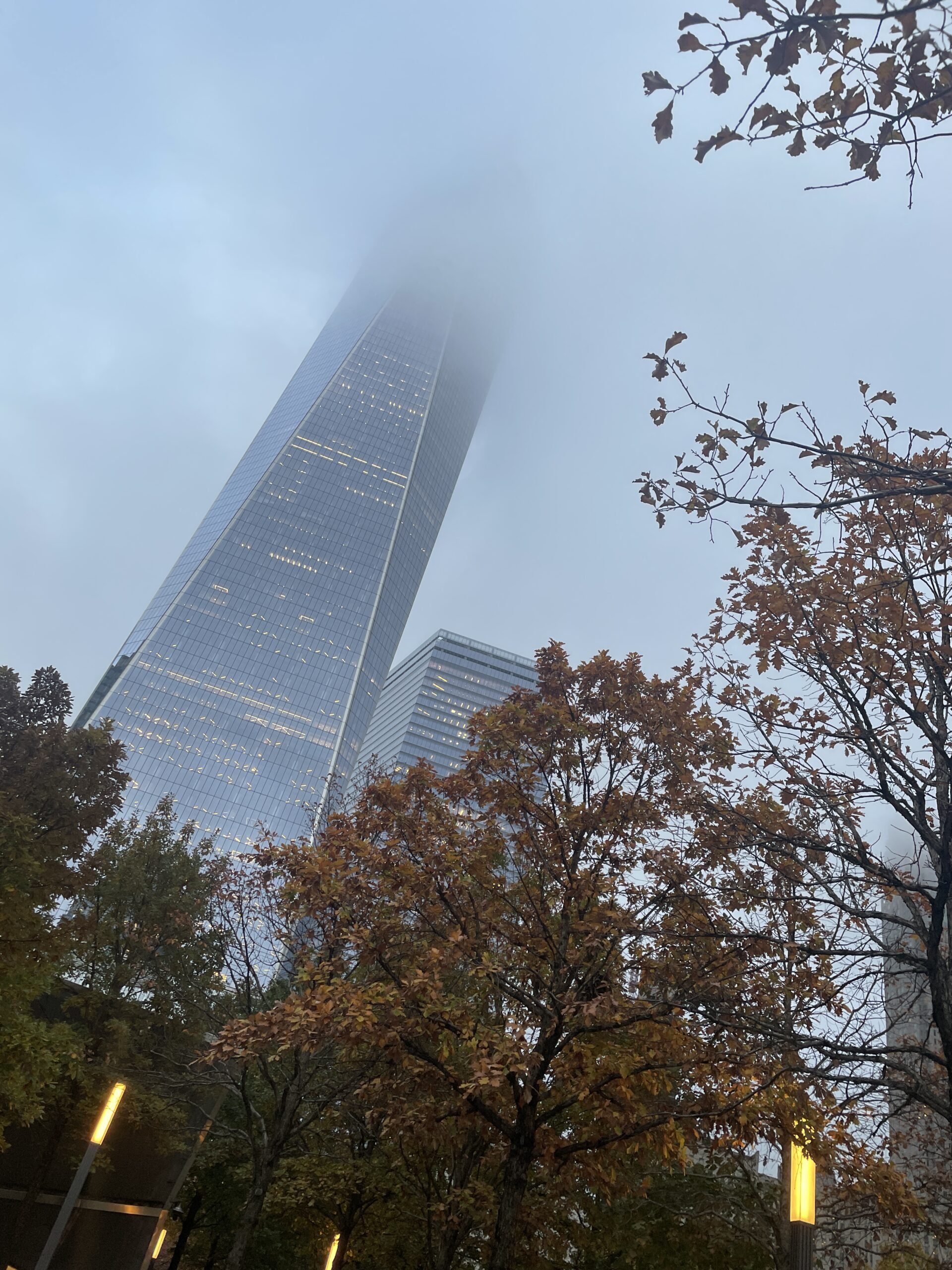 foggy day in nyc with autumn leaves in foreground and One World Trade Center in background