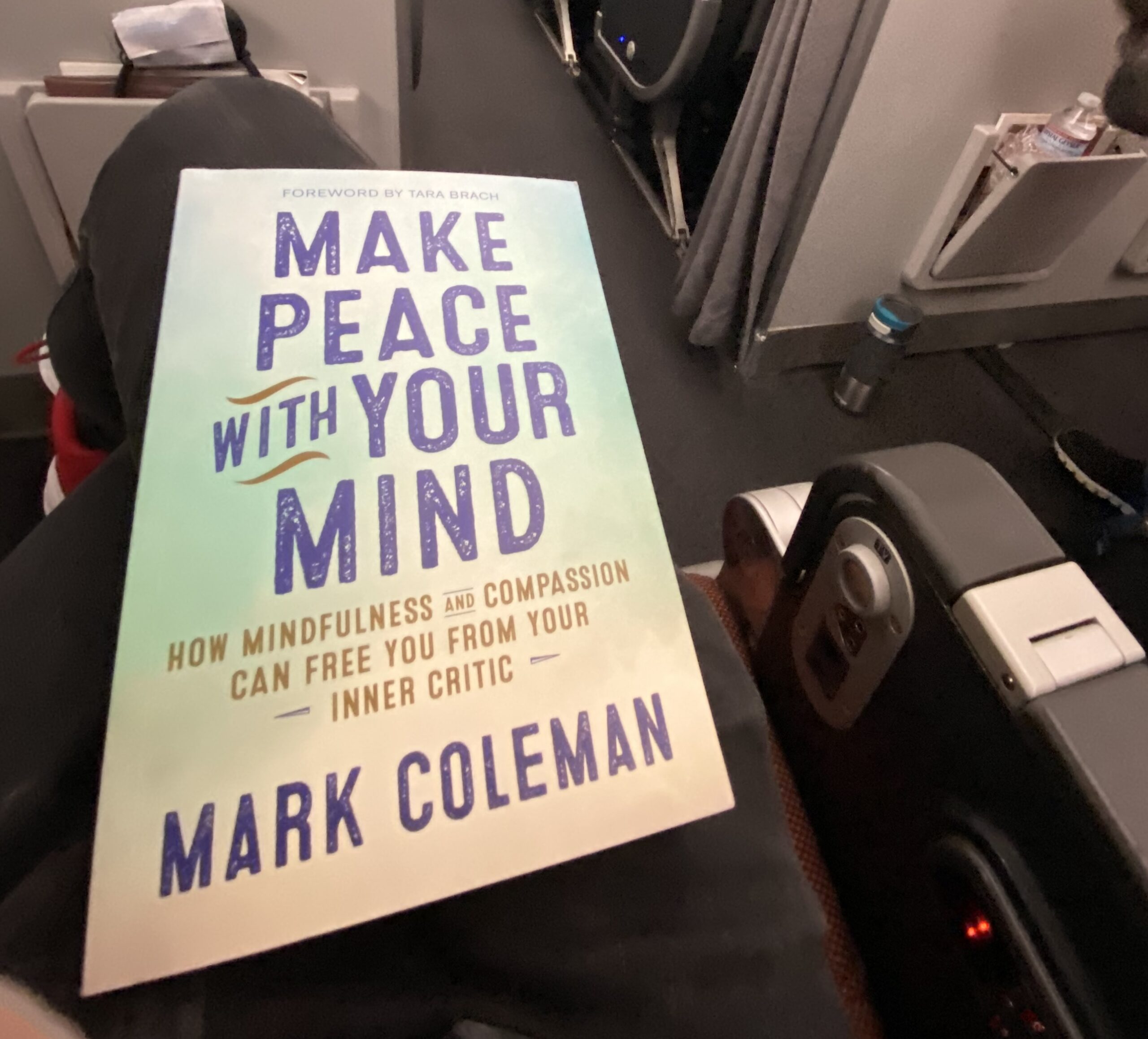 Make Peace With Your Mind - mindfulness book