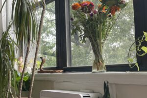 nyc apartment guide