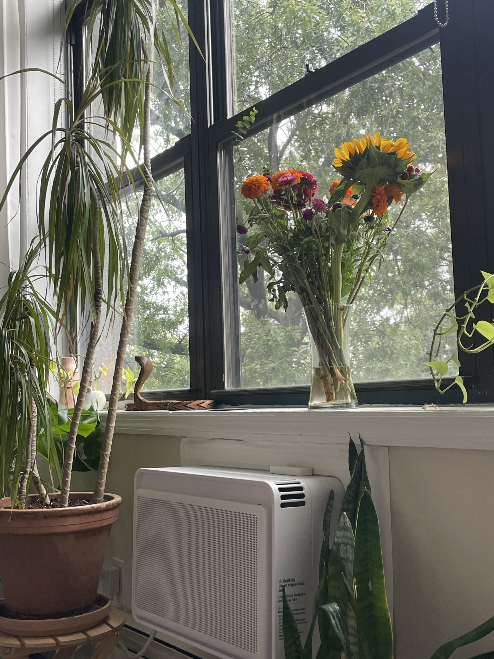 View of Your Ultimate Guide to Apartment Living in NYC