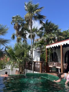 st thomas pink palm hotel